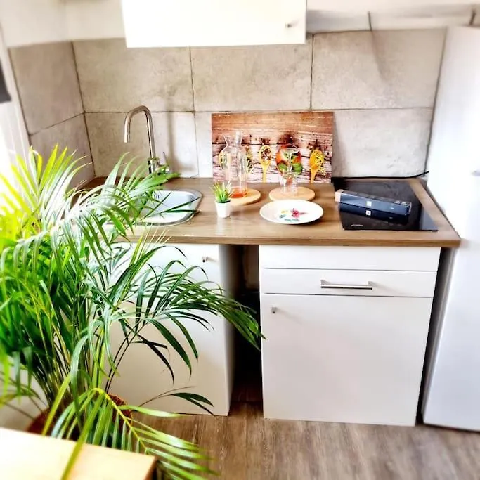 Duplex Les Toits Aixois Clim Apartman Aix-en-Provence